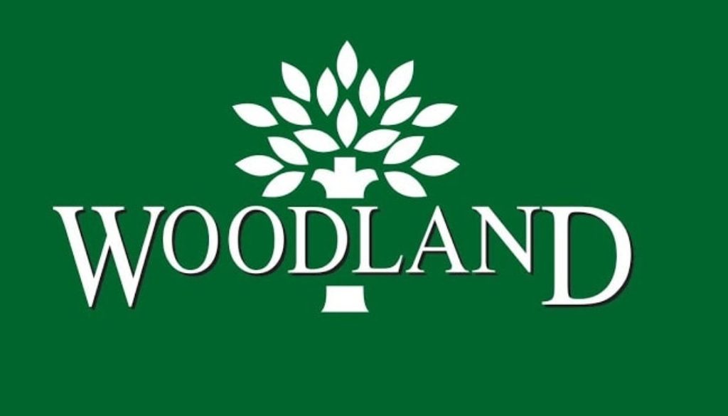 Woodland-brand-analysis-min